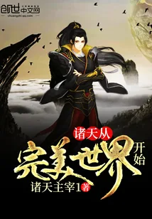 《诸天从完美世界开始》小说封面