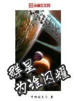 《群星为谁闪耀》小说封面