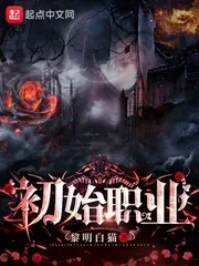 《初始职业》小说封面