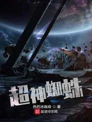 《超神蜘蛛》小说封面