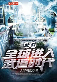 《此刻：全球进入武道时代》小说封面