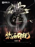 《禁法传说》小说封面