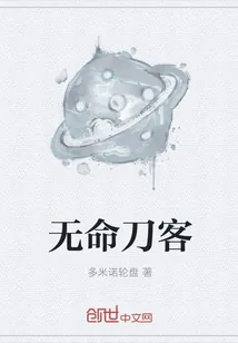 《无命刀客》小说封面