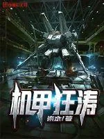《机甲狂涛》小说封面
