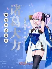 《我的未婚妻是诸葛大力》小说封面