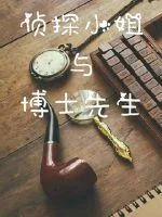 《侦探小姐与博士先生》小说封面