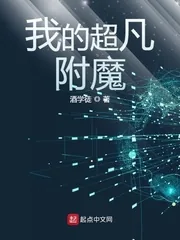 《我的超凡附魔》小说封面