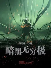 《暗黑无穷极》小说封面