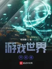 《游戏世界开拓者》小说封面