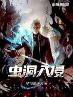 《虫洞入侵》小说封面