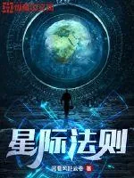 《星际法则》小说封面