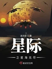 《星际之星海无尽》小说封面