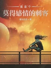《我是个莫得感情的刺客》小说封面