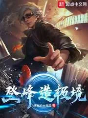 《登峰造极境》小说封面