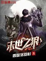 《末世之狼》小说封面