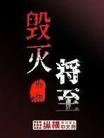 《毁灭将至》小说封面