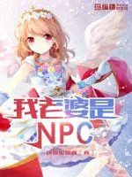 《我老婆是NPC》小说封面