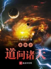 《龙珠之道问诸天》小说封面