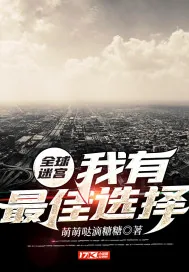 《全球迷宫：我有最佳选择》小说封面