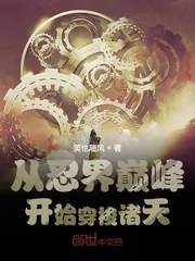 《从忍界巅峰开始穿梭诸天》小说封面