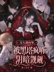 《万人迷向导,被黑塔疯哨阴暗觊觎》小说封面