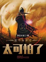 《这个NPC太可怕了》小说封面