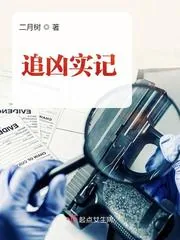 《追凶实记》小说封面