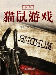 《DW猫鼠游戏》小说封面