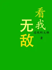 《看我无敌》小说封面