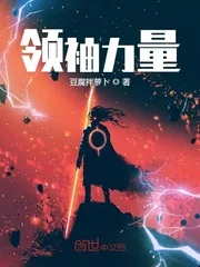 《领袖力量》小说封面