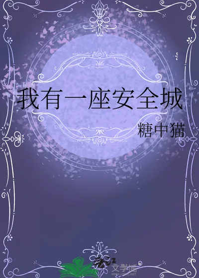 《我有一座安全城》小说封面