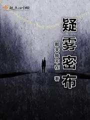 《疑雾密布》小说封面