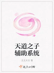 《天道之子辅助系统》小说封面