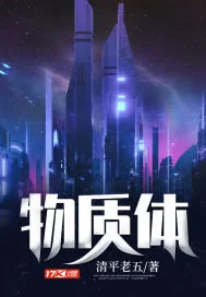 《物质体》小说封面
