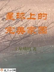 《星球上的完美家园》小说封面