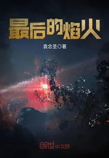 《最后的焰火》小说封面