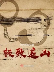 《极致追凶》小说封面