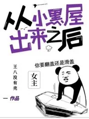 《从小黑屋出来之后》小说封面