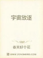 《宇宙放逐》小说封面