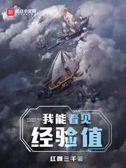 《我能看见经验值》小说封面