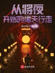 《从将夜开始的诸天行走》小说封面