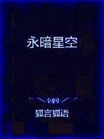 《永暗星空》小说封面