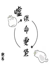 《嘘！保命要紧》小说封面
