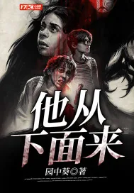 《他从下面来》小说封面
