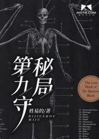 《第九守秘局》小说封面