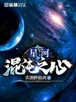 《星河混沌之心》小说封面
