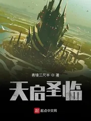《天启圣临》小说封面
