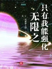 《无限之只有我能强化》小说封面