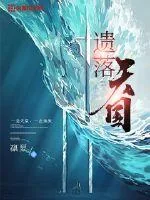 《遗落天国》小说封面