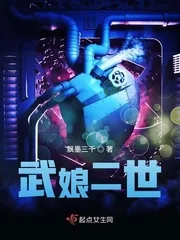 《武娘二世》小说封面
